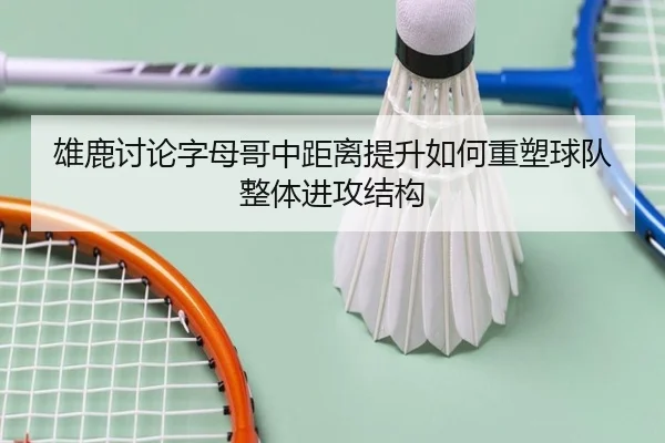 雄鹿讨论字母哥中距离提升如何重塑球队整体进攻结构 - aoko